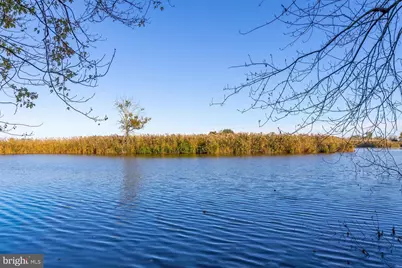 354 Grant, Salem, NJ 08079 - Photo 48