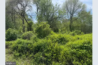 60 Pedricktown Woodstown Road, Pedricktown, NJ 08067 - Photo 1