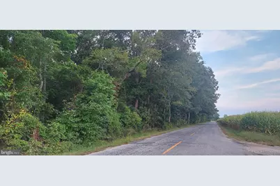 0 Mc Kishen Road, Pittsgrove, NJ 08318 - Photo 1