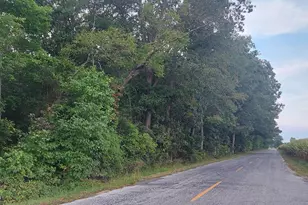 0 McKishen Rd, Pittsgrove, NJ 08318 - Photo 1