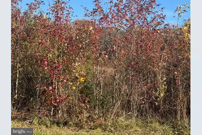 Quinton Alloway Road, Salem, NJ 08079 - Photo 2