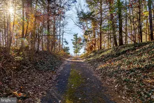 97 Alloway Aldine Rd, Alloway, NJ 08001 - Photo 6