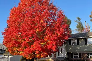 4 Old Forge Rd, Pennsville, NJ 08070 - Photo 1