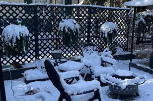 248 Route 40, Newfield, NJ 08344 - Photo 46