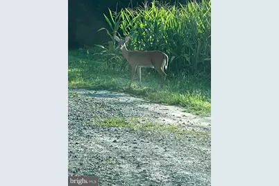 29 Three Bridge Road, Monroeville, NJ 08343 - Photo 48