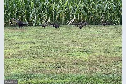 29 Three Bridge Road, Monroeville, NJ 08343 - Photo 50