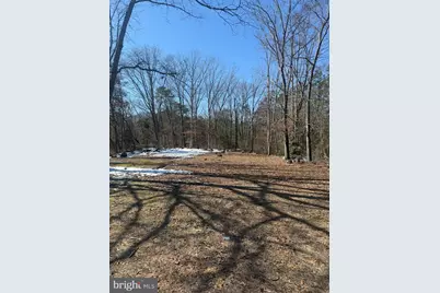 111 Watson Mills Road, Elmer, NJ 08318 - Photo 2