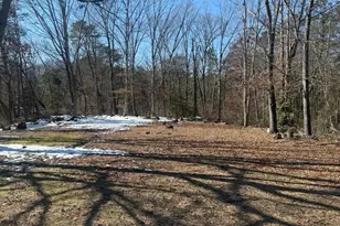 111 Watson Mills Rd, Elmer, NJ 08318 - Photo 2