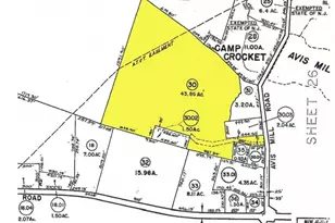 133 Avis Mill Rd, Pilesgrove, NJ 08098 - Photo 58