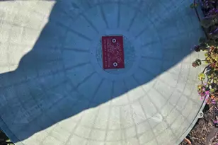 133 Avis Mill Rd, Pilesgrove, NJ 08098 - Photo 50