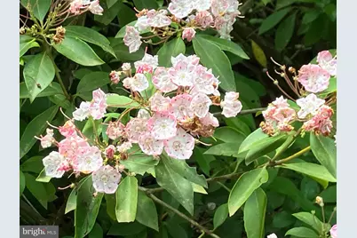 L9, 26, 28, 29, 33 Burden Hill, Salem, NJ 08079 - Photo 8