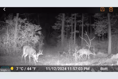 L9, 26, 28, 29, 33 Burden Hill, Salem, NJ 08079 - Photo 12