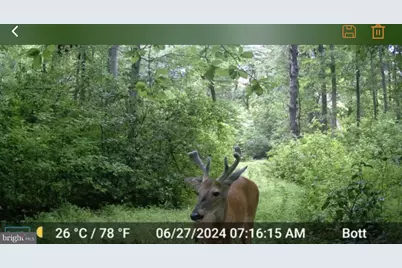 L9, 26, 28, 29, 33 Burden Hill, Salem, NJ 08079 - Photo 10