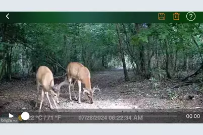 L9, 26, 28, 29, 33 Burden Hill, Salem, NJ 08079 - Photo 6