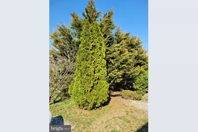 49 Wallace Street, Elmer, NJ 08318 - Photo 8