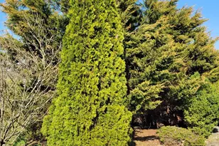 49 Wallace St, Elmer, NJ 08318 - Photo 8