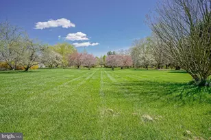 360 Salem Hancocks Bridge Rd, Salem, NJ 08079 - Photo 22