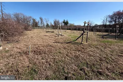 0 N Hook Road, Pennsville Township, NJ 08070 - Photo 4