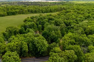 459 Alloway Aldine Rd, Elmer, NJ 08318 - Photo 56