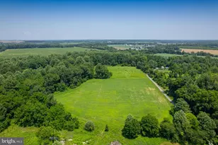 433 Lincoln Rd, Pilesgrove, NJ 08098 - Photo 30