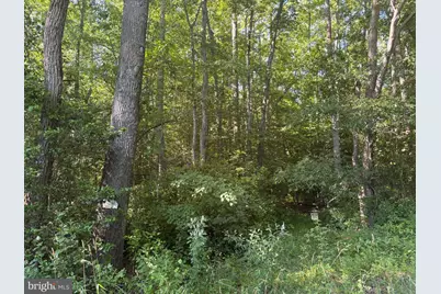 0 Mill Pond Road, Hancocks Bridge, NJ 08038 - Photo 2