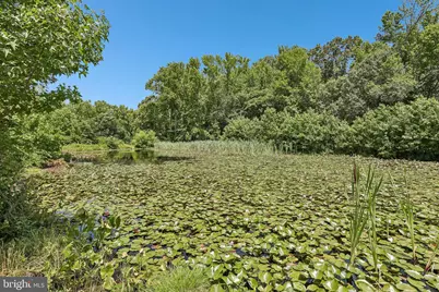 204 Alloway Aldine Road, Woodstown, NJ 08098 - Photo 22