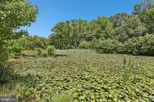 204 Alloway Aldine Rd, Woodstown, NJ 08098 - Photo 22