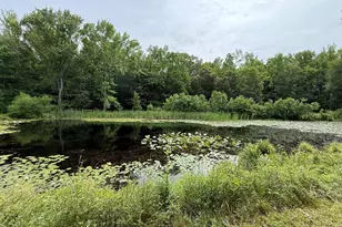 204 Alloway Aldine Rd, Woodstown, NJ 08098 - Photo 12