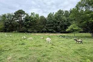 204 Alloway Aldine Rd, Woodstown, NJ 08098 - Photo 16