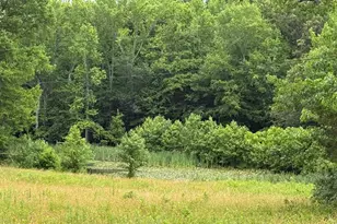 204 Alloway Aldine Rd, Woodstown, NJ 08098 - Photo 10