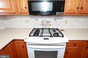 453 Langley Rd, Pittsgrove, NJ 08318 - Photo 64