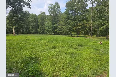 450 Almond Road, Pittsgrove, NJ 08318 - Photo 8
