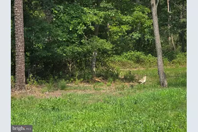 450 Almond Road, Pittsgrove, NJ 08318 - Photo 6