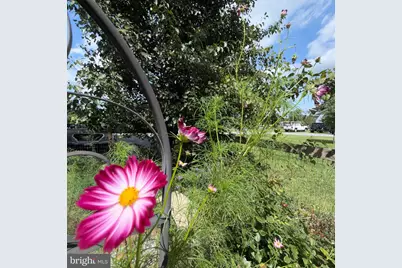 45 Lotus Avenue, Woodstown, NJ 08098 - Photo 28