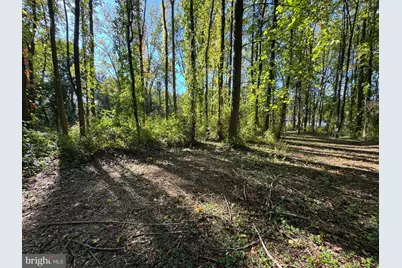 0 N Hook Road, Pennsville Township, NJ 08070 - Photo 10