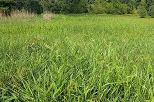 555 Middle Creek Rd, Fairfield, PA 17320 - Photo 1