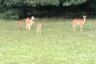 1461 New Rd, Orrtanna, PA 17353 - Photo 36