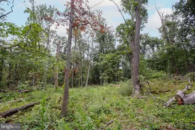 2325 York Road, Gettysburg, PA 17325 - Photo 44