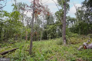 2325 York Rd, Gettysburg, PA 17325 - Photo 44