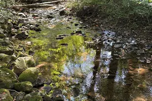 130 Spigot Valley Rd, Biglerville, PA 17307 - Photo 54