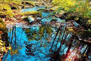 502 Celebration Hill Rd, Biglerville, PA 17307 - Photo 50