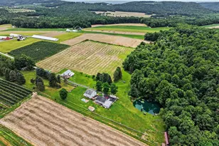 502 Celebration Hill Rd, Biglerville, PA 17307 - Photo 60