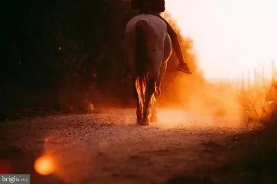 2828 Heidlersburg Road, Biglerville, PA 17307 - Photo 42