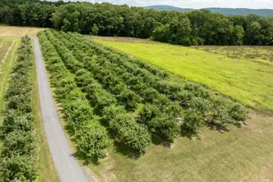 1494 Mountain Rd, Orrtanna, PA 17353 - Photo 10