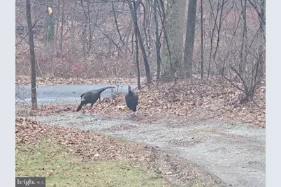 1395 Green Ridge Road, Orrtanna, PA 17353 - Photo 42