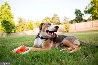 [Address not provided], Gettysburg, PA 17325 - Photo 16