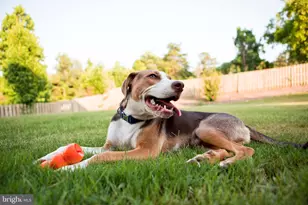 [Address not provided], Gettysburg, PA 17325 - Photo 16