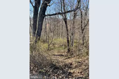 0 Rampike Hill Road, Bendersville, PA 17306 - Photo 4