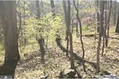 16 Dogwood Trail, Fairfield, PA 17320 - Photo 6