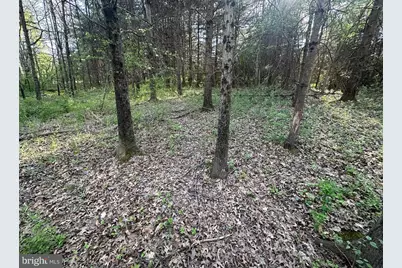 447 Hunterstown Hampton Road, Gettysburg, PA 17325 - Photo 58